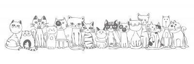 Jarco hondenvoer kattenvoer illustratie _ maek creative team