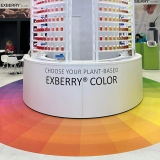 GNT Exberry coloring food Maek creative team