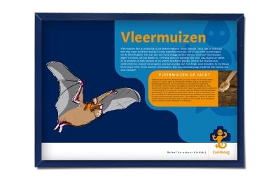 Bosgroep Zuid Nederland illustratie belevingsborden natuur Carisborg _ maek creative team