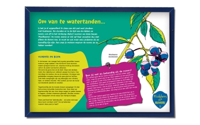 Bosgroep Zuid Nederland illustratie belevingsborden natuur Horst Kasteelse Bossen _ maek creative team