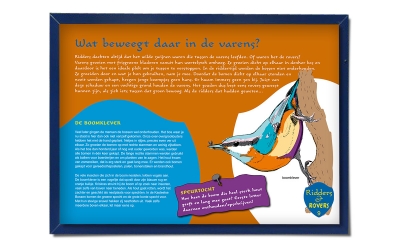 Bosgroep Zuid Nederland illustratie belevingsborden natuur Horst Kasteelse Bossen _ maek creative team