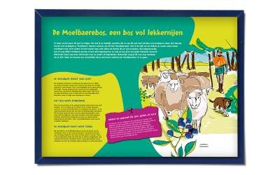 Bosgroep Zuid Nederland illustratie belevingsborden natuur Horst Kasteelse Bossen _ maek creative team