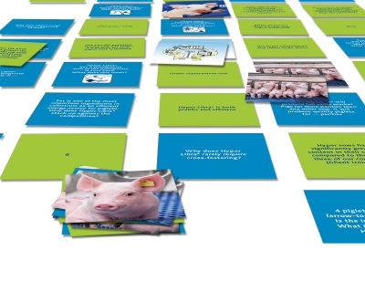 Hypor communicatiemiddelen seminar trainingsmateriaal _ maek creative team