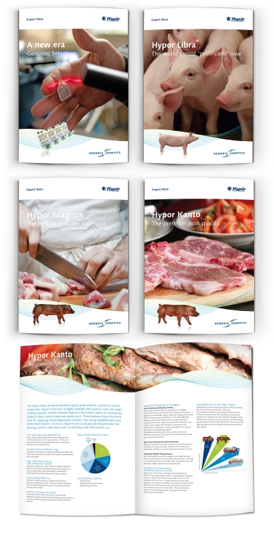 Hypor product brochures _ maek creative team