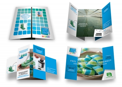 EXBERRY love color blue campagne logoloop card _ maek creative team