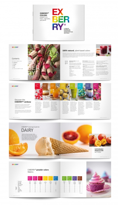 Exberry corporate brochure maek creative team